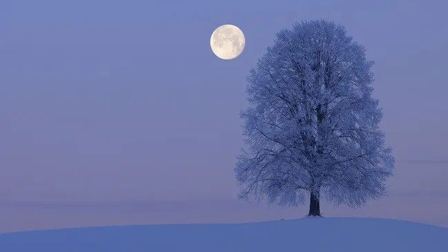 The Cold Moon occurs a week before the winter solstice.