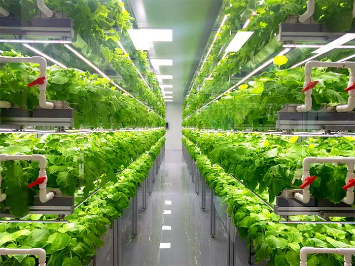 A vertical farm powered 100% by wind energy.