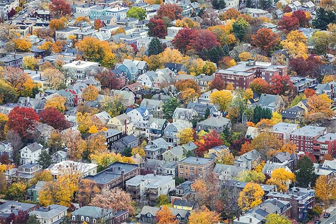 Planting trees along streets can effectively cool the city.