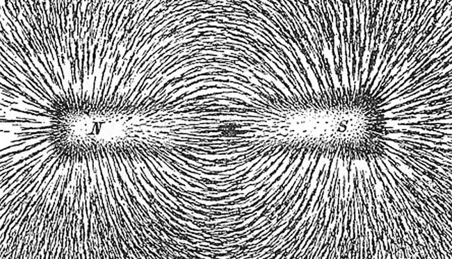 Magnetic Field of a Muon Particle