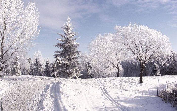 Snow typically appears in temperate regions during winter.