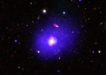 unexpected discovery of a monster with abnormally slow rotation speed 121757