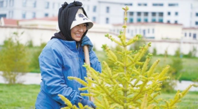 Tree saplings in Nagqu are cared for with meticulous technology.