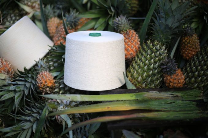 Final product fiber made from pineapple leaves.