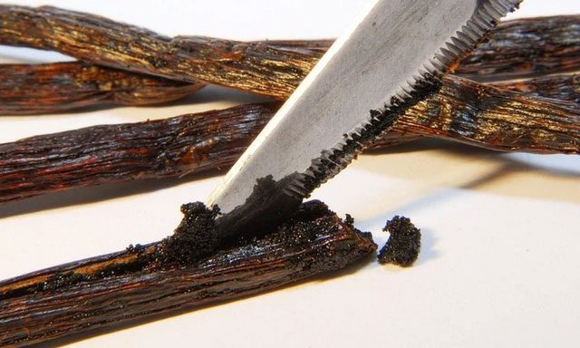 Vanilla is widely used in the food, perfume, and aromatherapy industries...