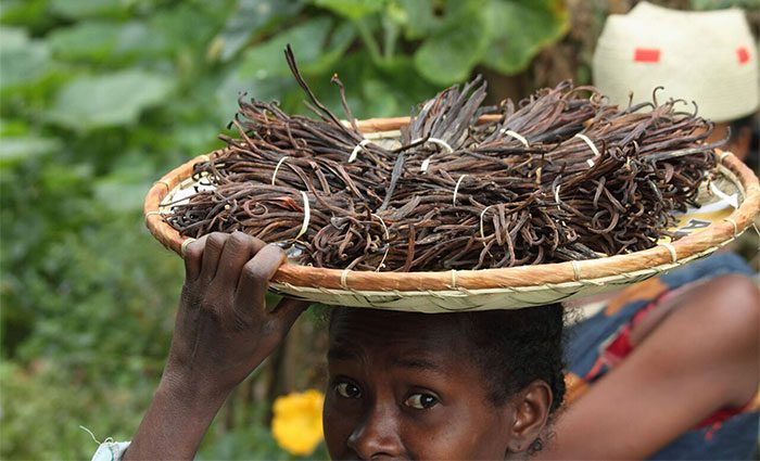 The total time for a vanilla harvest can take up to one year.