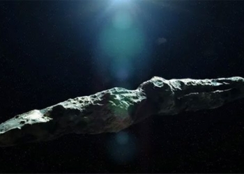 vat the oumuamua 650