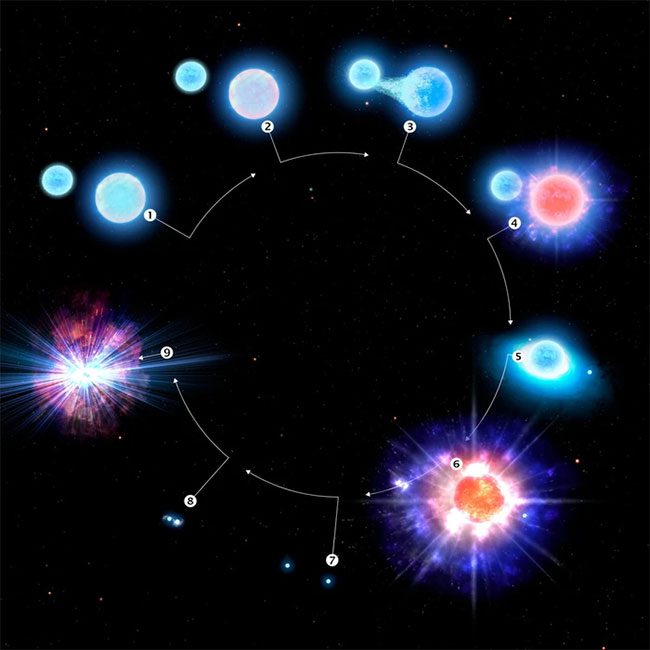 The gravitational force on the side of the star near the black hole is much stronger than on the opposite side.