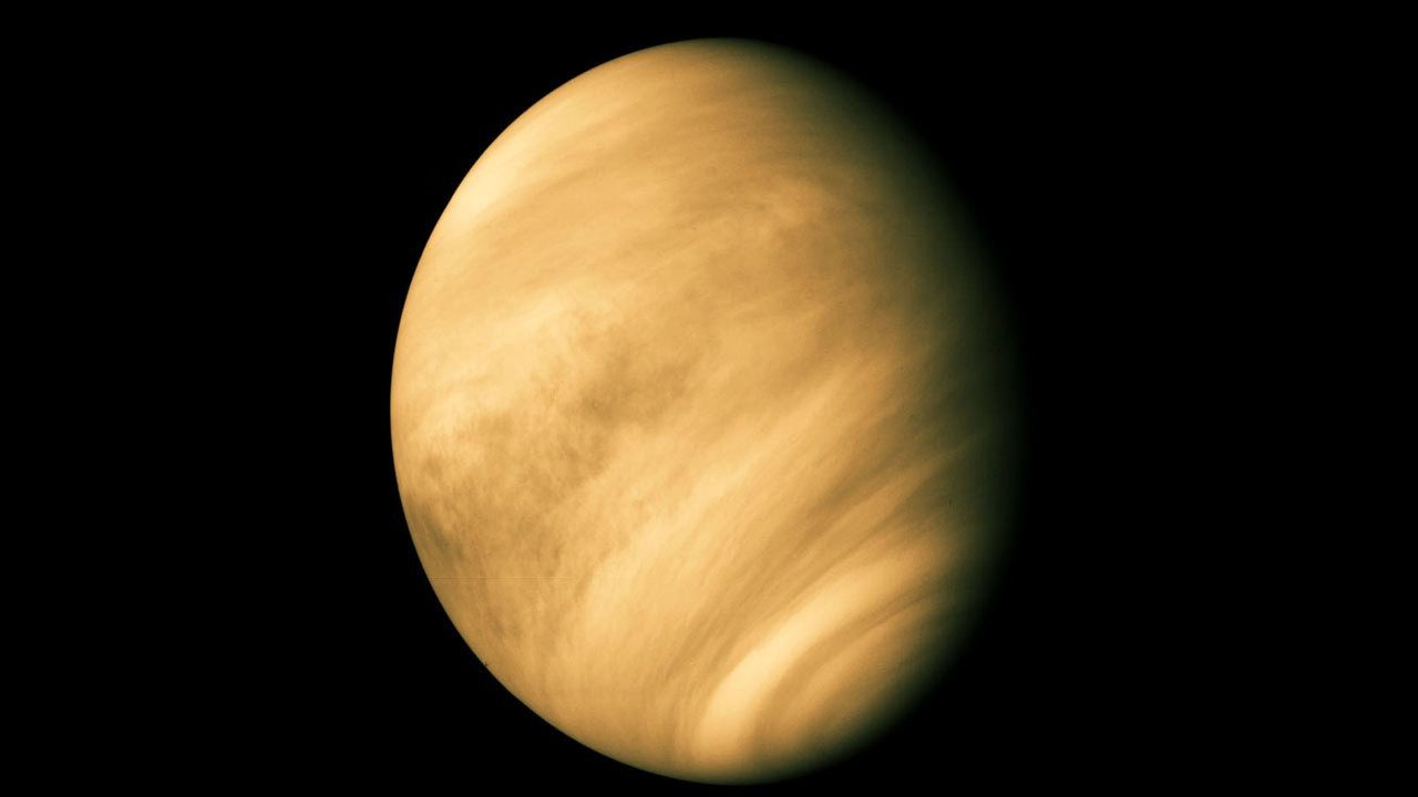 Venus