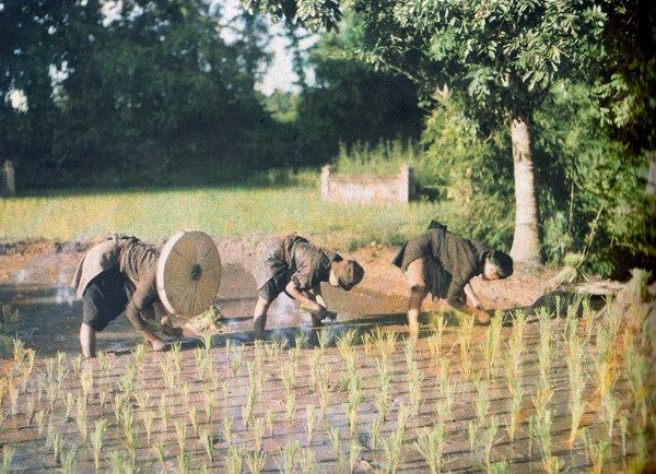 Beautiful images of Vietnam from 100 years ago