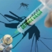 vietnam has first dengue vaccine 136929