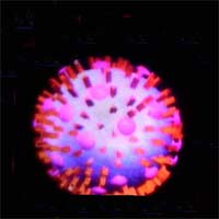 viruscum 1