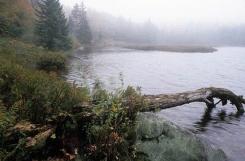 The Bennington Triangle is a region in southwestern Vermont (Northeast USA) surrounded by Glastenbury Mountain. This area has been the site of numerous mysterious disappearances over 30 years, from 1920 to 1950.