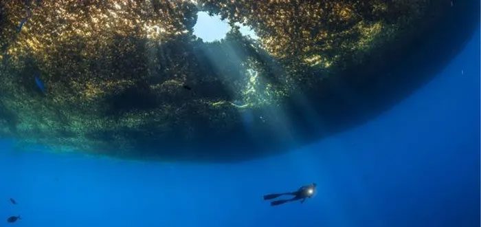 The Sargasso Sea is believed to have formed 100 million years ago.