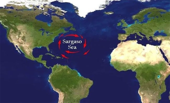 The Sargasso Sea is located in the ocean and surrounded by four ocean currents.