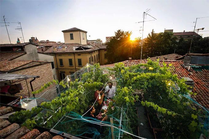 The smallest vineyard in the world located on the rooftop of a castle