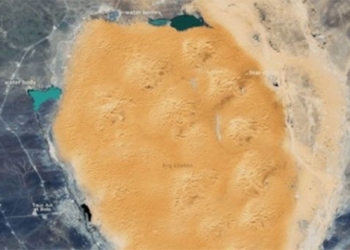 wetland ecosystem across sahara after floods 137448 2