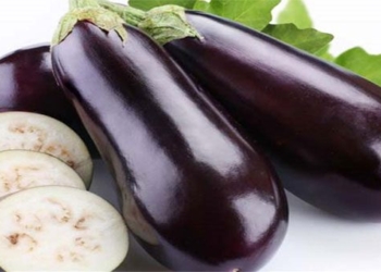 what does eggplant have that japanese people really love to eat and eat a lot 93125