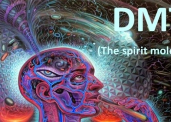 what is dmt it really brings spiritual benefits like many people think 114217