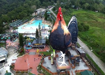 what is inside the largest chicken shaped building in the world 137893