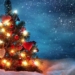 when should you set up a christmas tree 76816