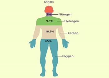 which chemical elements are in the human body 112376