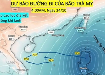 why bao tra mi can go round and then send money to the central region 137443 2