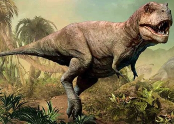 why dinosaurs have not had very small fingers