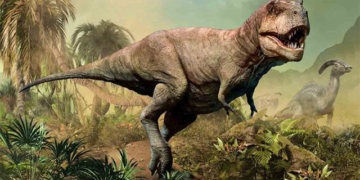 why dinosaurs have not had very small fingers