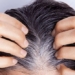 why gray hair grows back never returns 138389