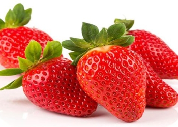 why strawberries have seeds on the outside 93069