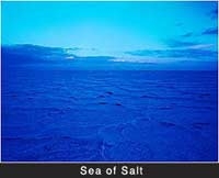 why the sea is flat 1237