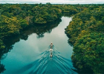 why there are no bridges over the amazon river 110992