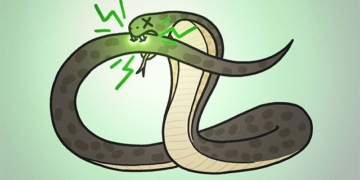 why venomous animals cannot cause dangerous harm 137178