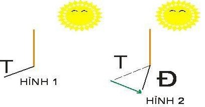 Simple way to determine direction using the Sun and experience