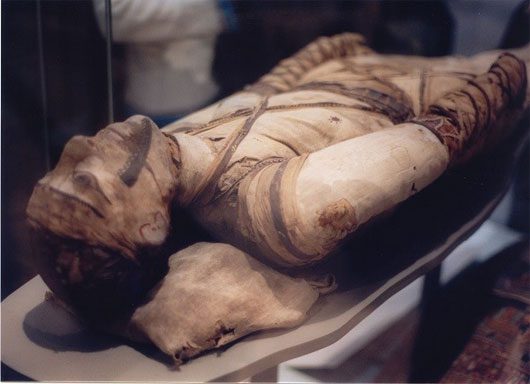 Why did the Egyptians meticulously mummify?