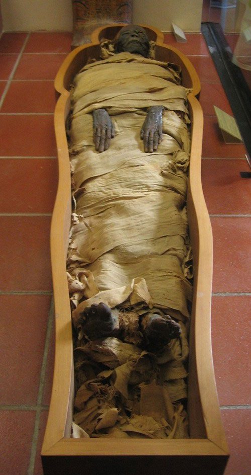 Why did the Egyptians meticulously mummify?