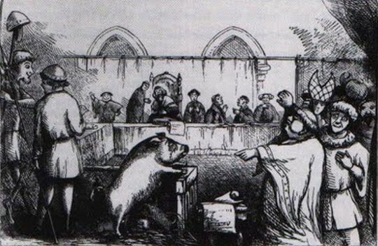 Animals were also put on trial in the Middle Ages, even facing the death penalty.