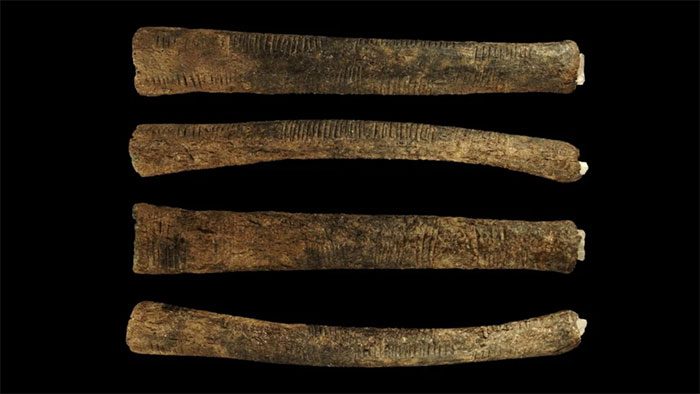 Engravings on the Ishango Bone