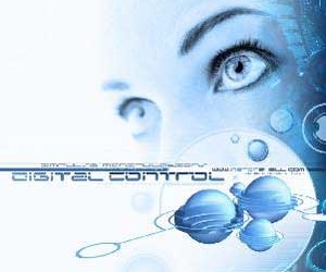 2005 is the year of citizen digitization 2590