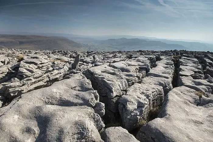 Most Limestone Pavement terrains are quite barren, with very little vegetation on the rock surface.