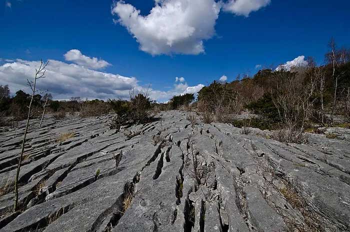 Grykes are formed through weathering and the impact of rainwater.