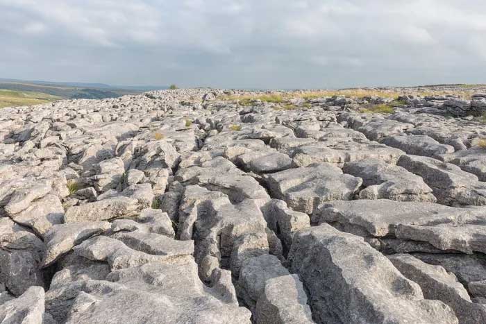 Human activities such as forest clearance and livestock grazing have created the massive limestone pavement terrain we see today.