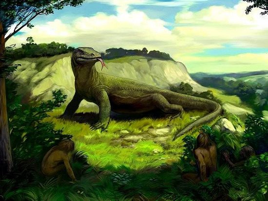 Although extinct for a long time, there are frequent reports of sightings of this giant lizard.