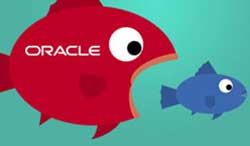Oracle 1