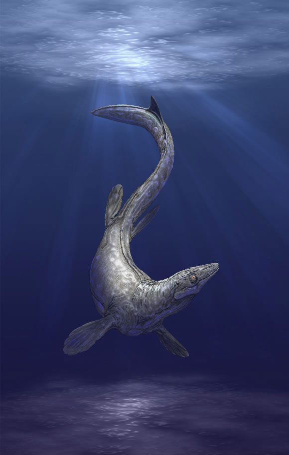 Graphic depiction of the newly discovered marine creature in Utah.