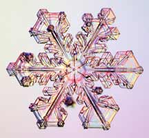 Snowflakes07