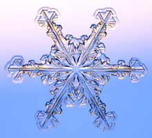 Snowflakes08