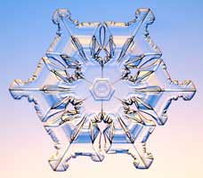 Snowflakes10