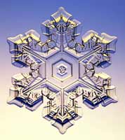 Snowflakes26